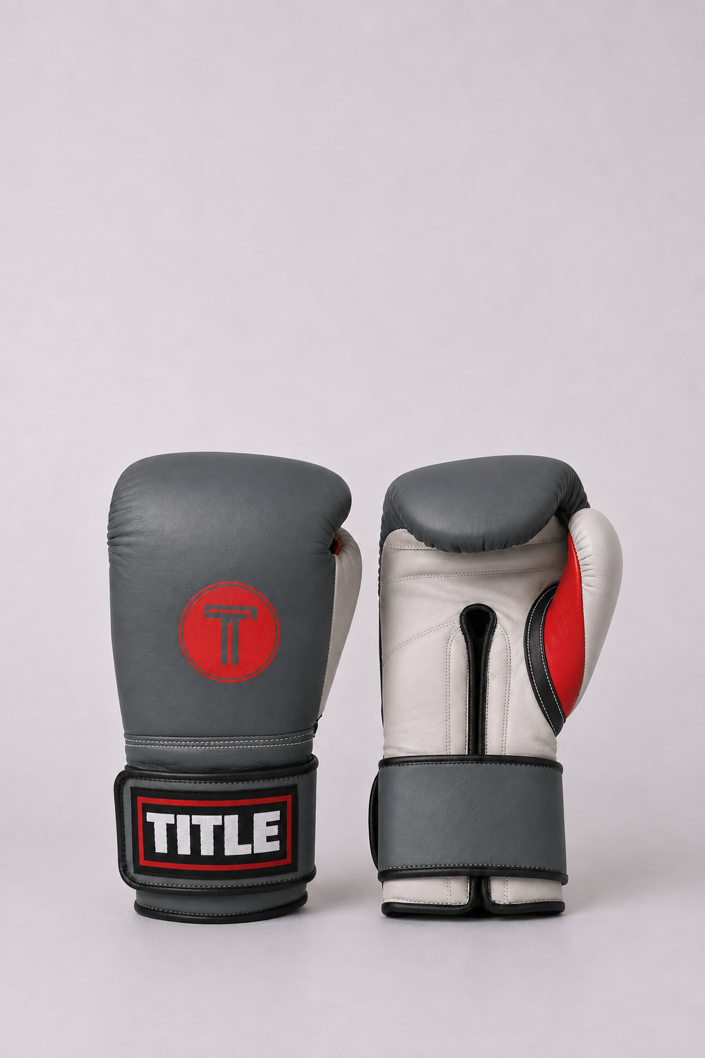 TITLE Leather Sparring Gloves