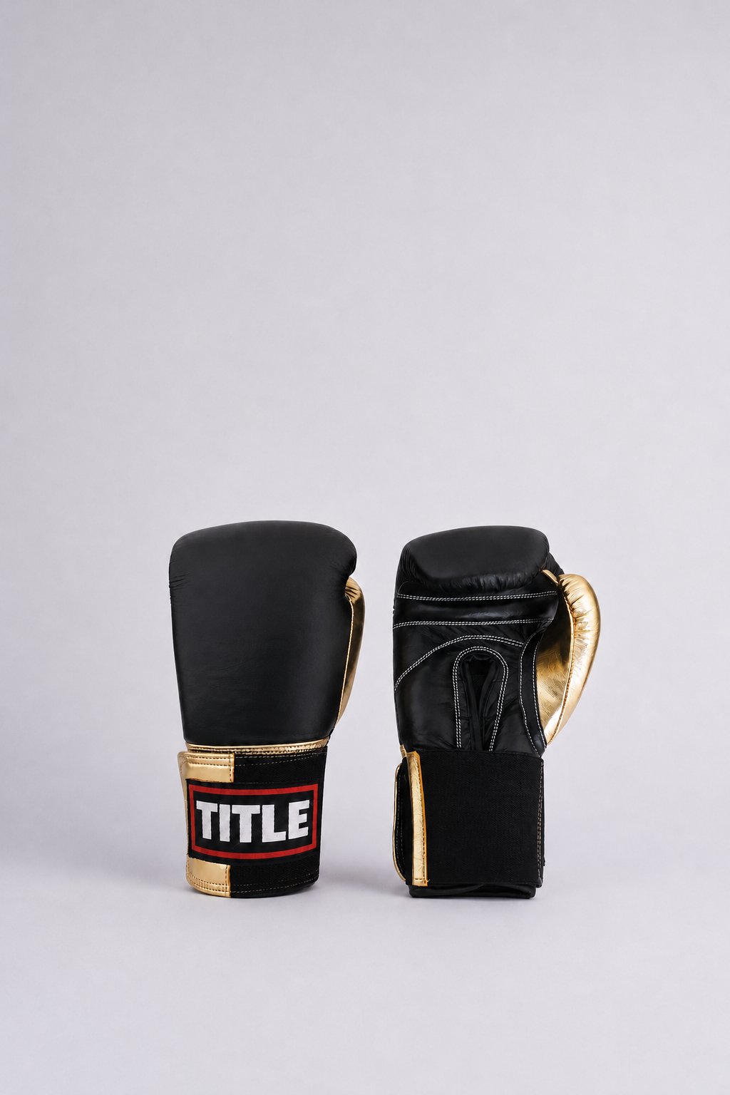 TITLE Leather Sparring Gloves