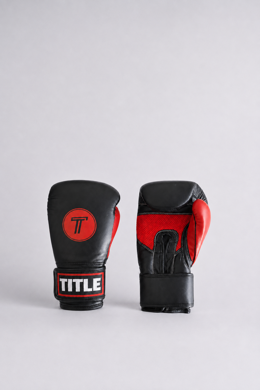 TITLE Leather Sparring Gloves