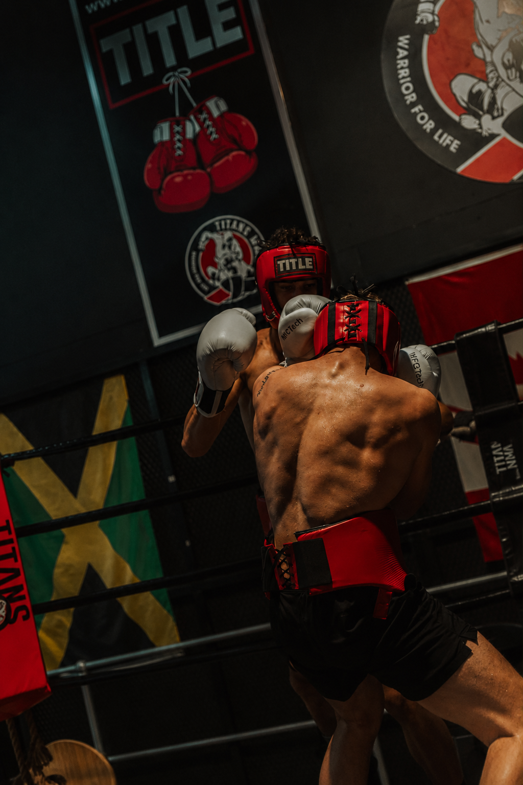 TITLE Open Face Competition Headgear: Red & Blue