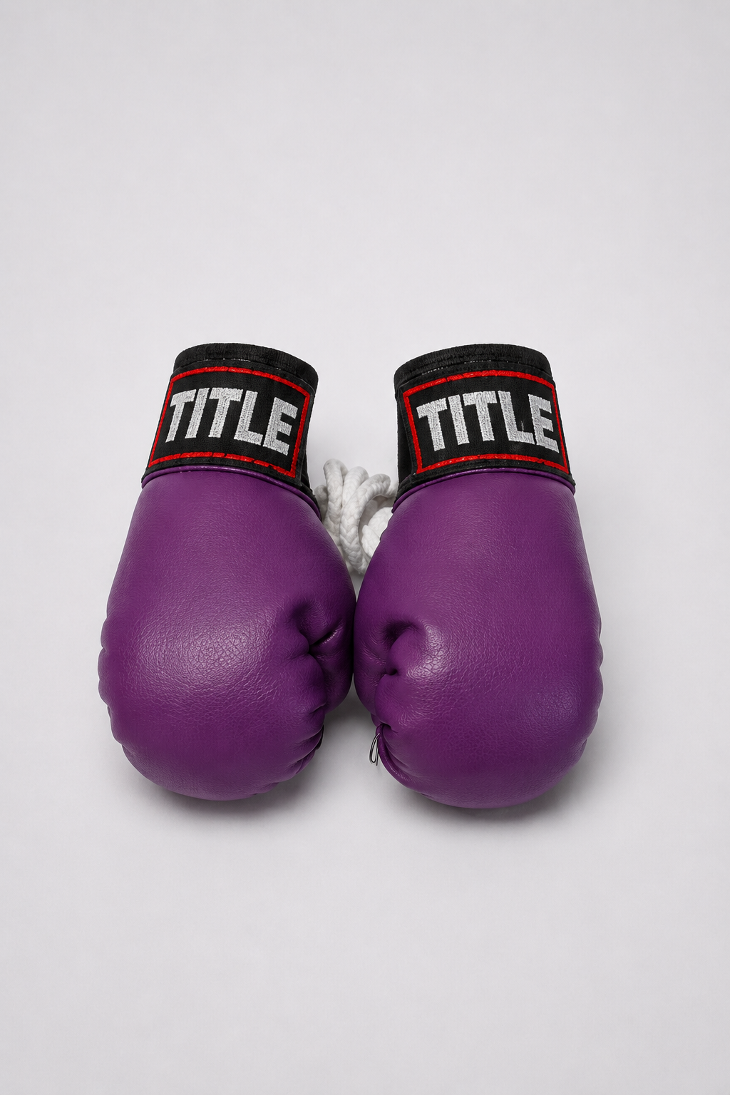 TITLE Mini Boxing Gloves: Hanging Pair