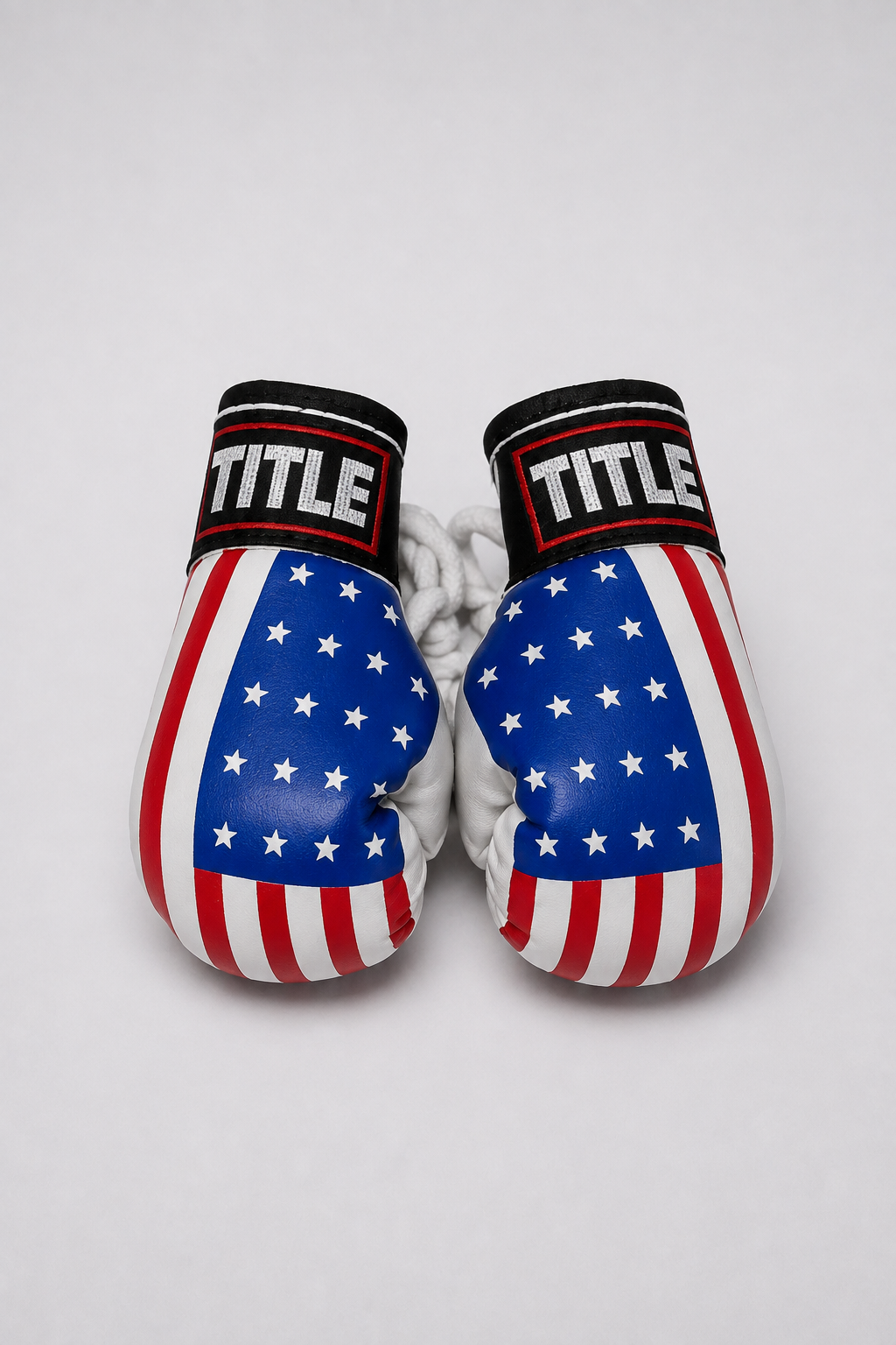 TITLE Mini Boxing Gloves: Hanging Pair