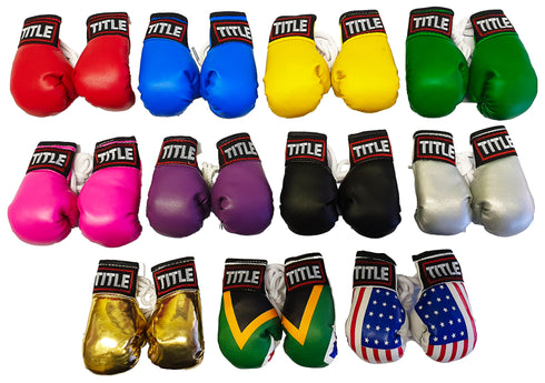 Title Mini Boxing Gloves