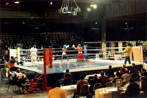 Title Tournament Boxing Ring International Competition : 8m