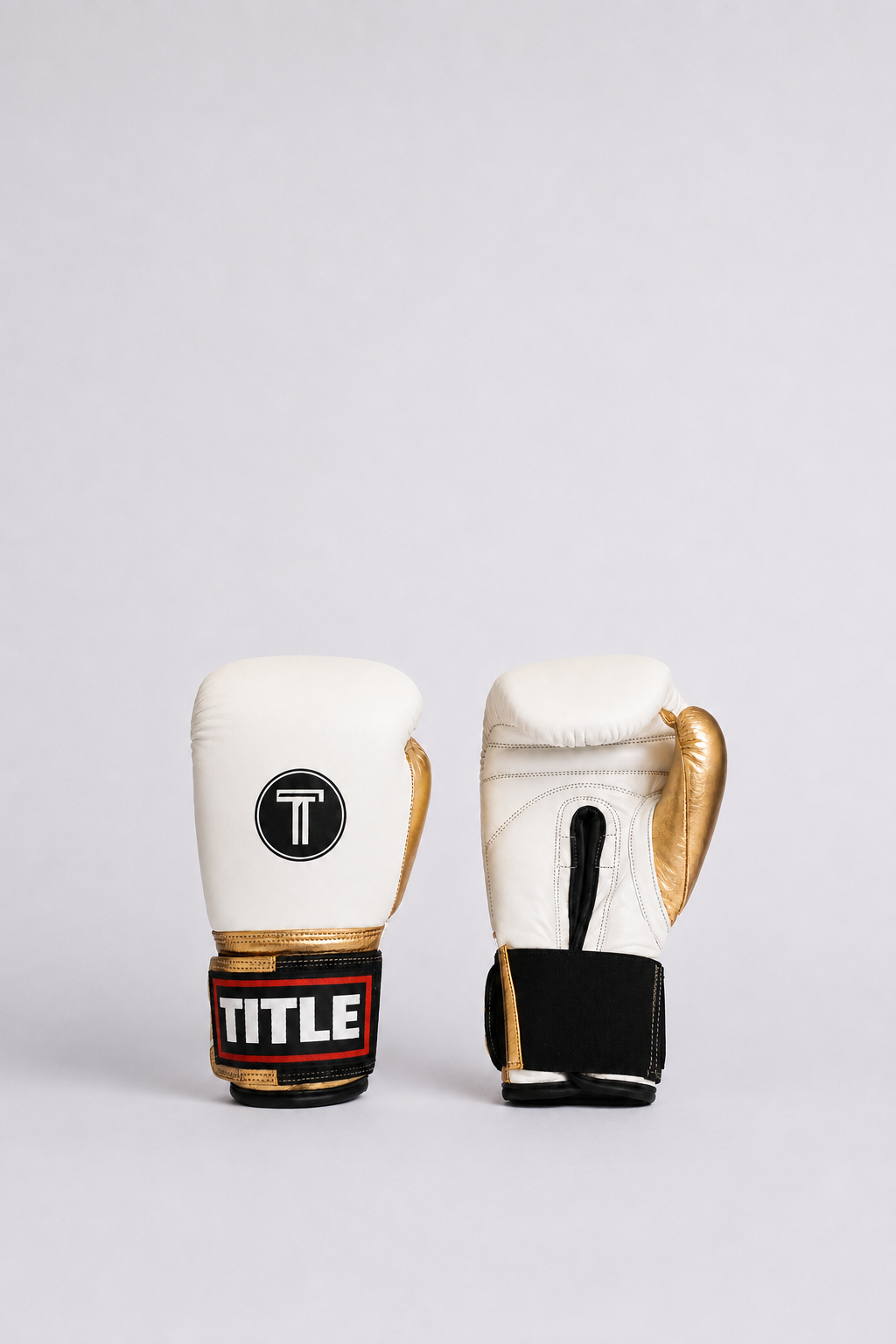 TITLE Leather Sparring Gloves