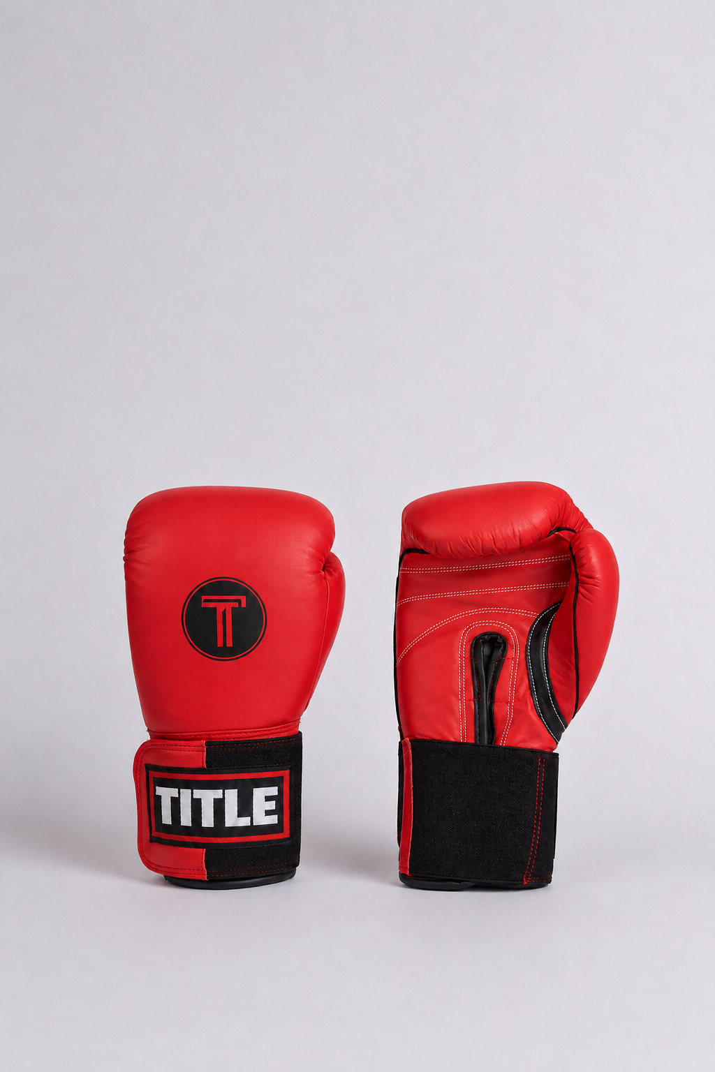 TITLE Leather Sparring Gloves