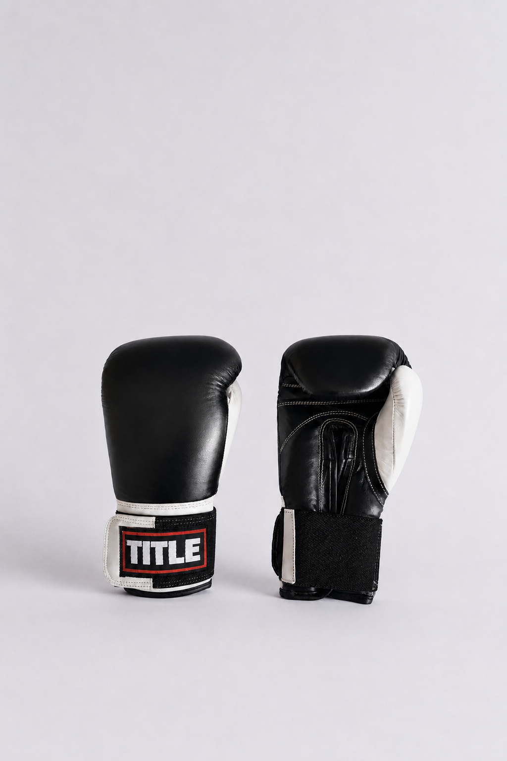 TITLE Leather Sparring Gloves