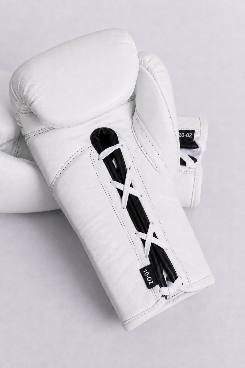TITLE Pro Fight Gloves
