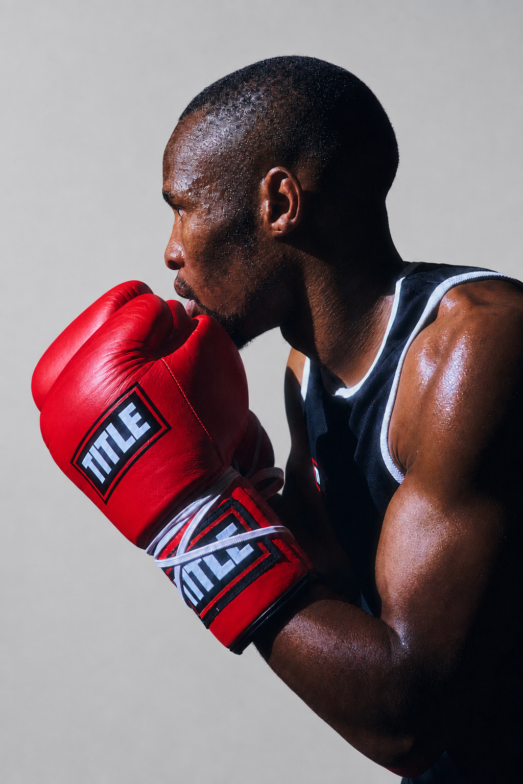 TITLE Pro Fight Gloves