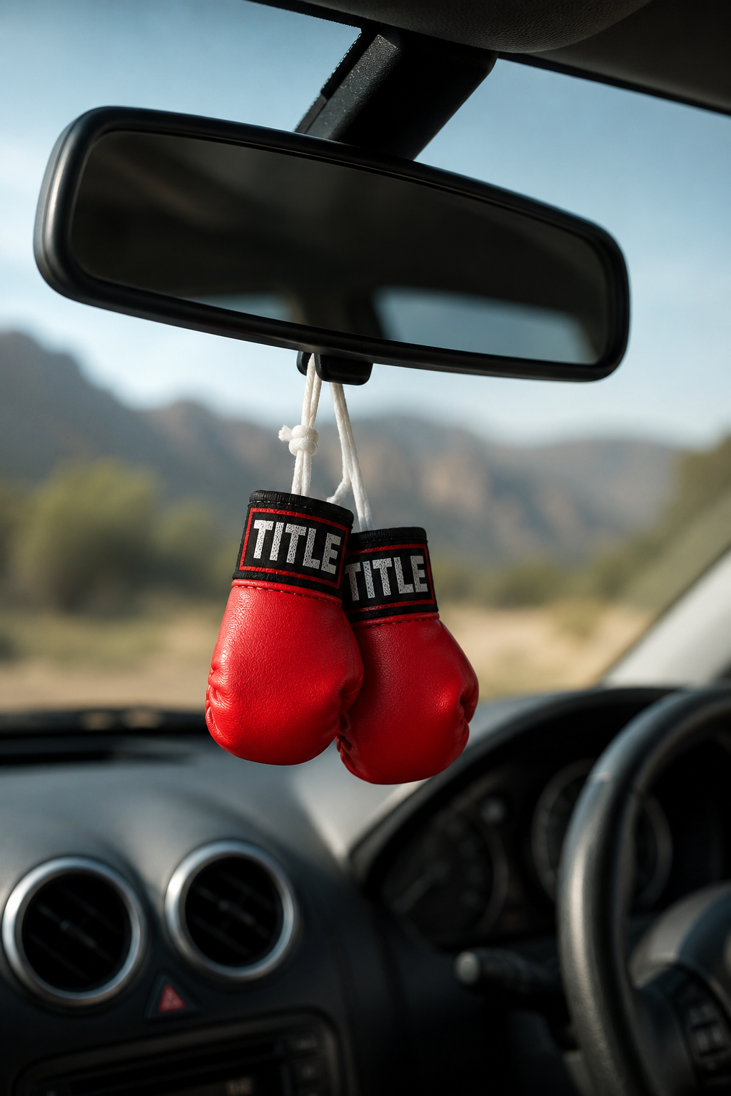 TITLE Mini Boxing Gloves: Hanging Pair