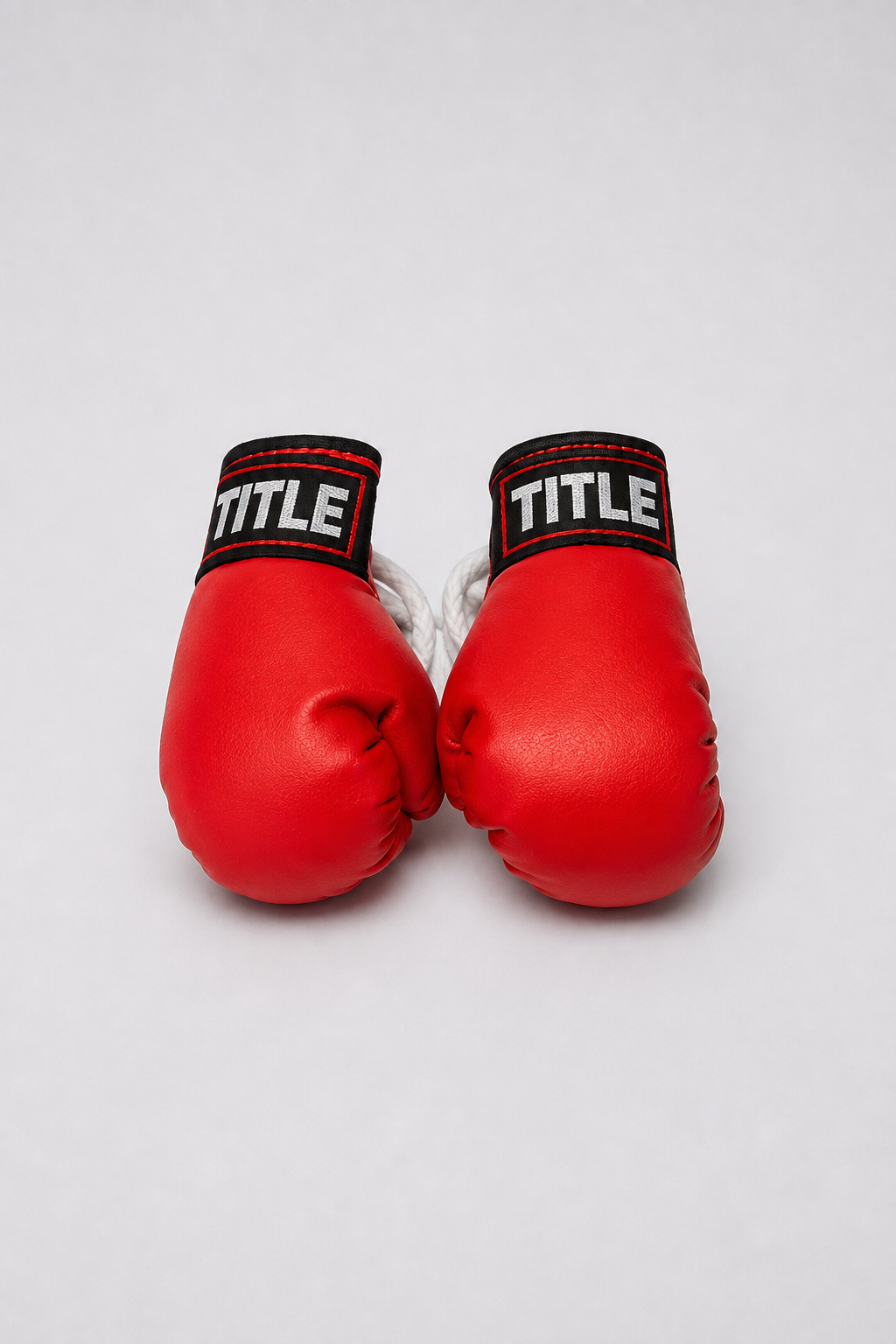 TITLE Mini Boxing Gloves: Hanging Pair