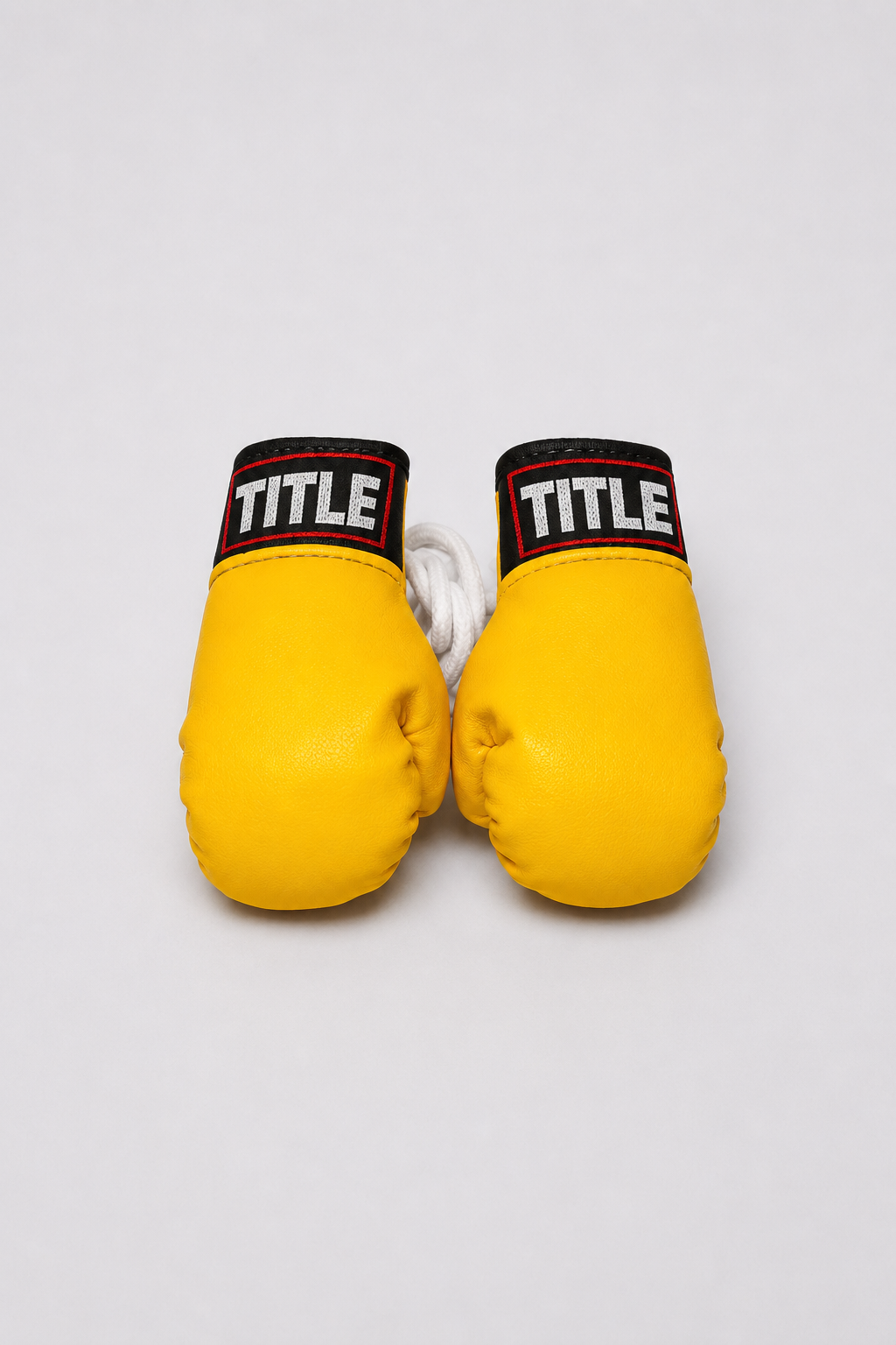 TITLE Mini Boxing Gloves: Hanging Pair