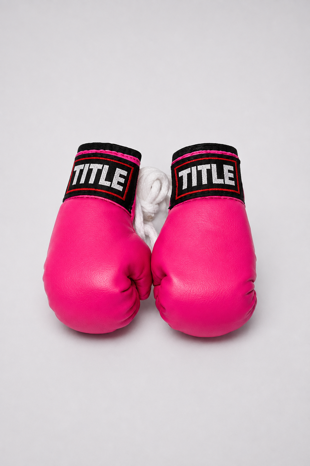 TITLE Mini Boxing Gloves: Hanging Pair