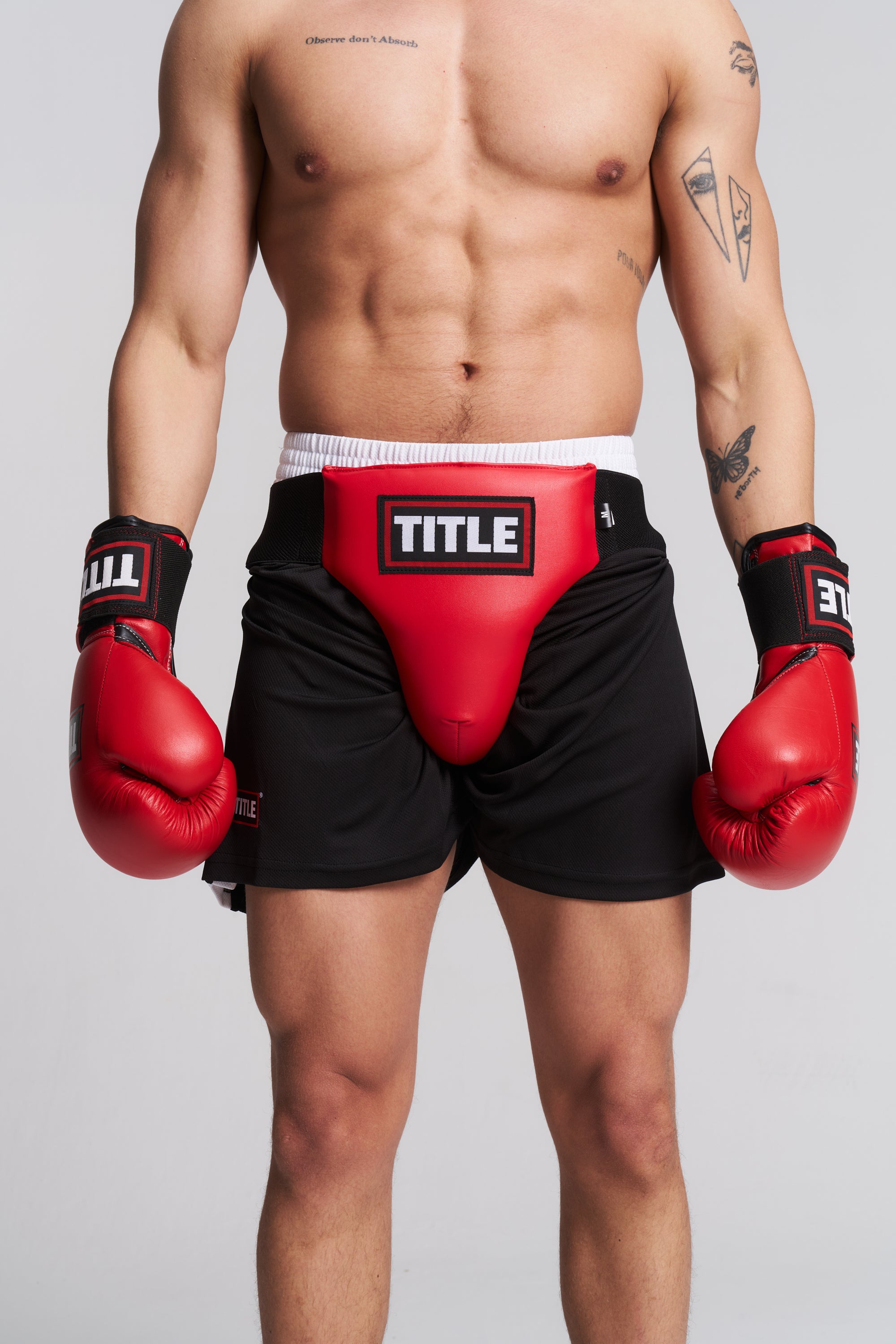 TITLE Groin and Abdominal Protector
