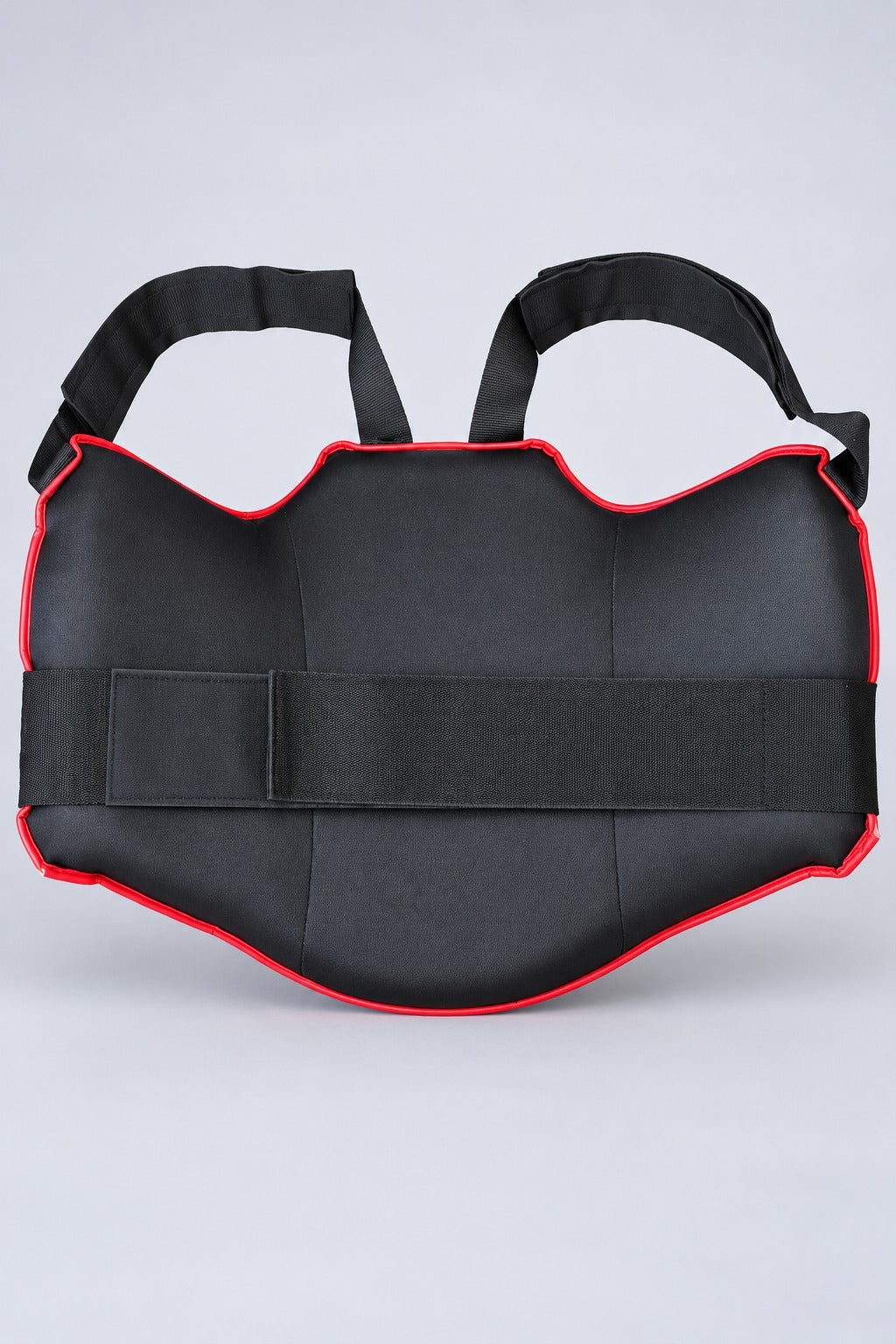 TITLE Bodywork Coach Protector: Body Shield with Harness