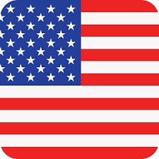 TITLE Boxing South Africa miniature boxing glove keychain featuring a USA flag print design